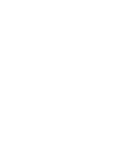 AAAIS logo white 300px